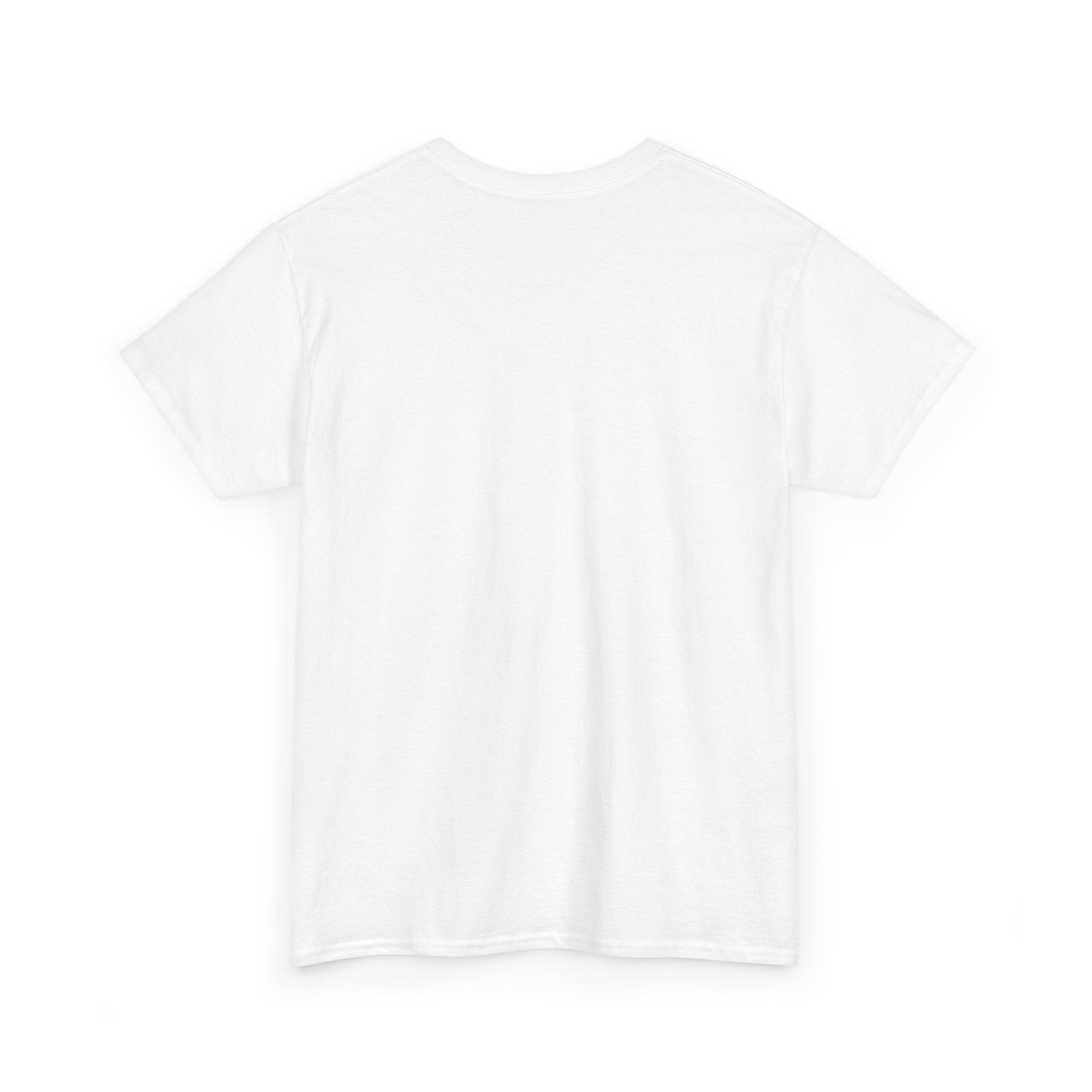Take Me To Florida Unisex Heavy Cotton Tee