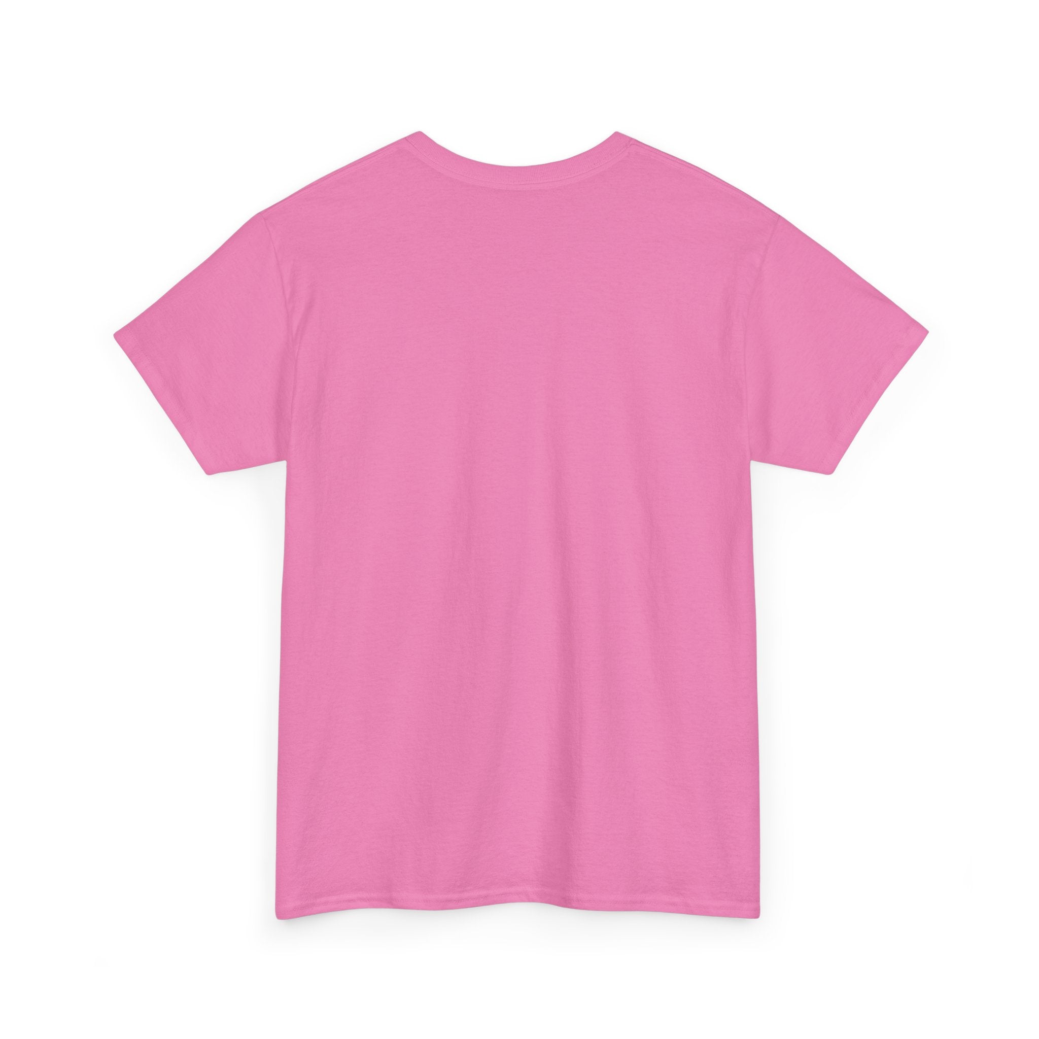 Take Me To Florida Unisex Heavy Cotton Tee
