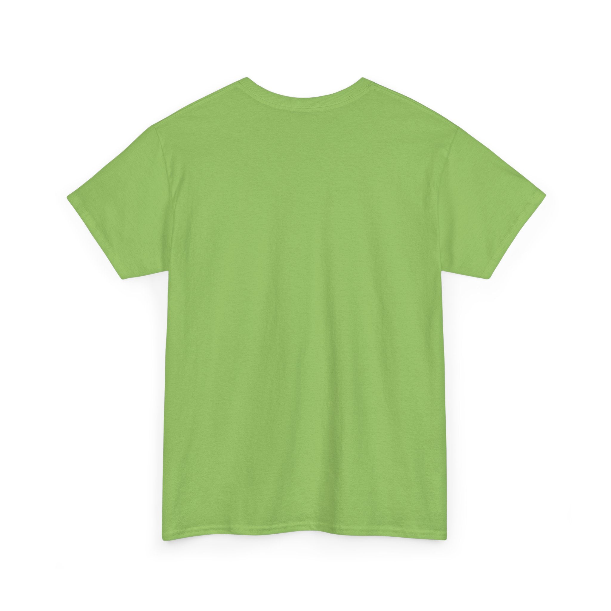 Take Me To Florida Unisex Heavy Cotton Tee