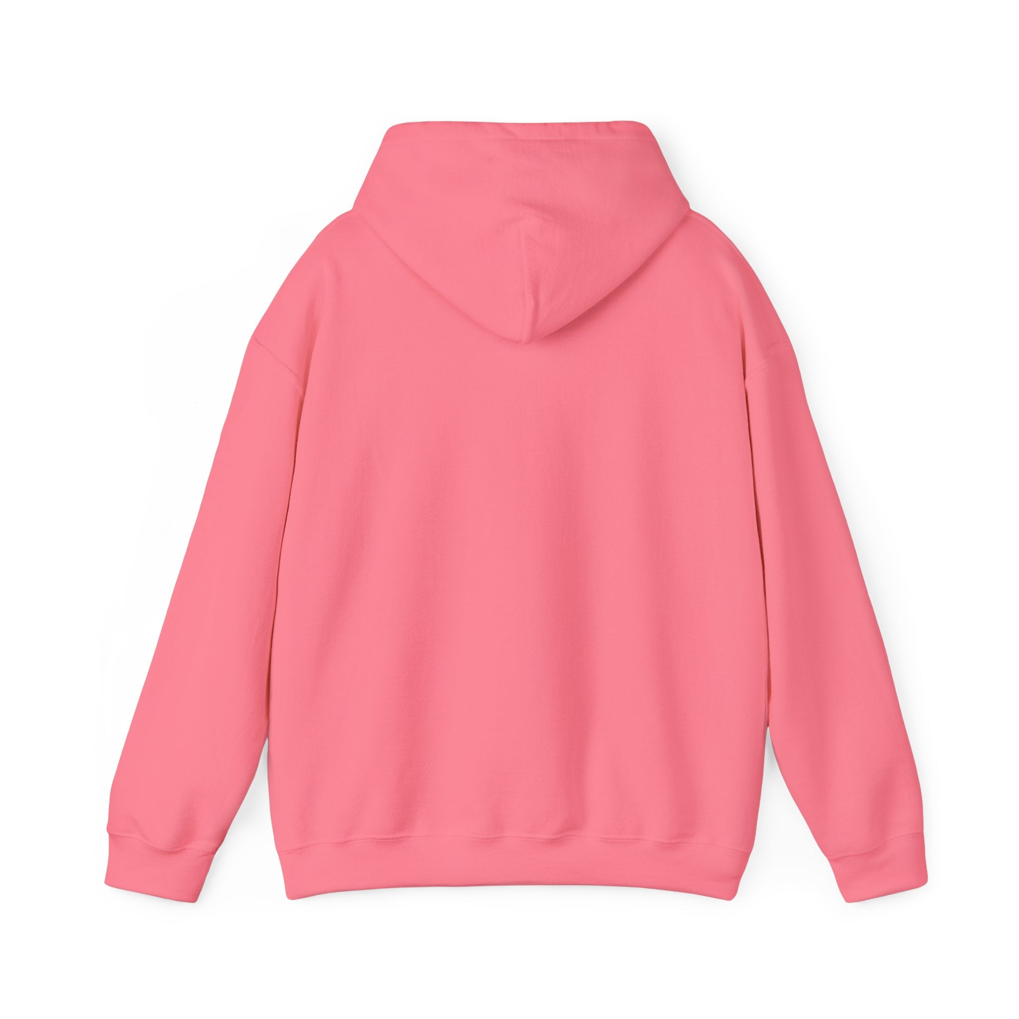 The Brothers Sun Charles Soupreme Unisex Heavy Blend™ Hooded Sweatshirt